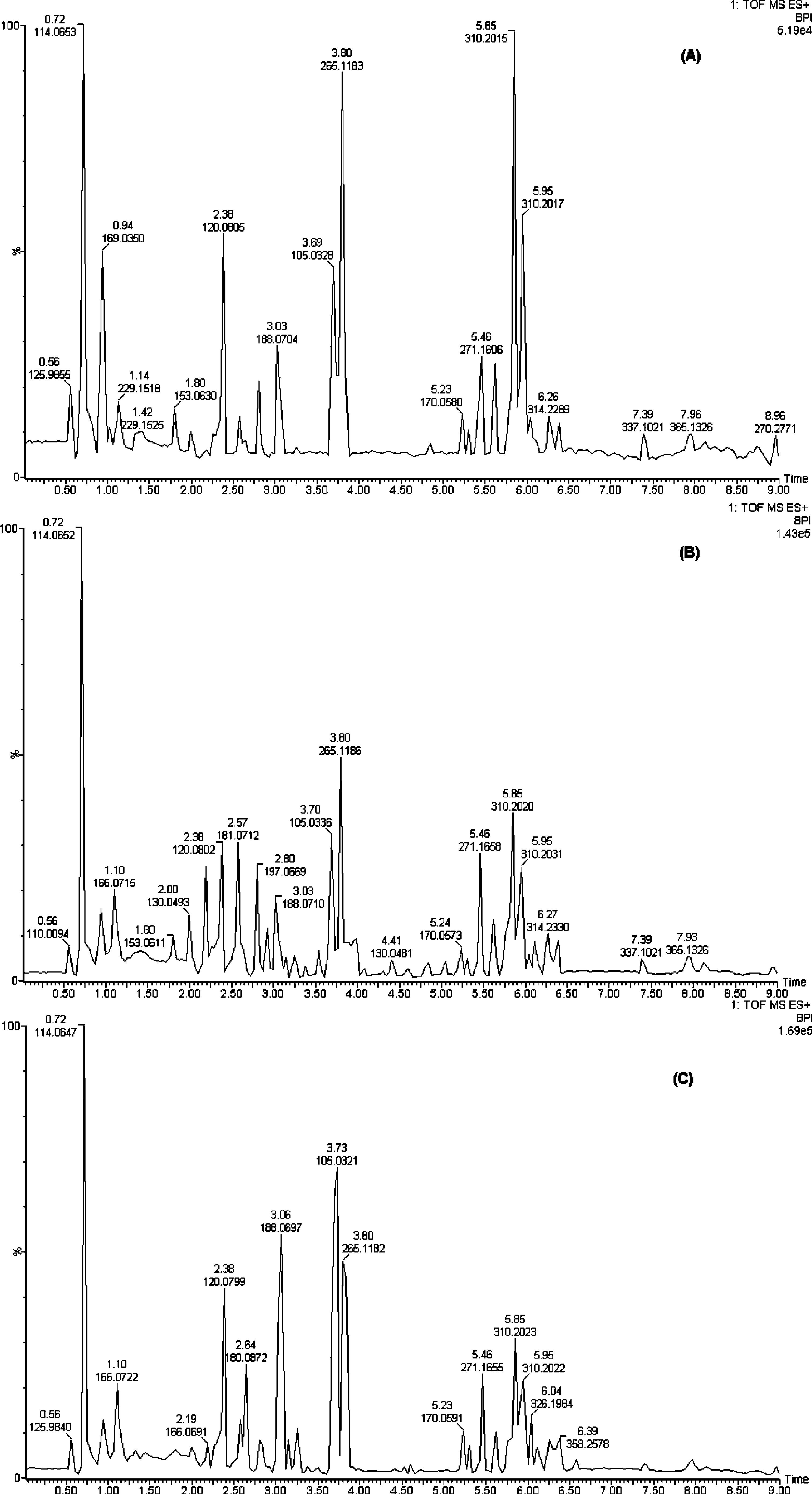 代谢组学-脂质-代谢流-靶向定量