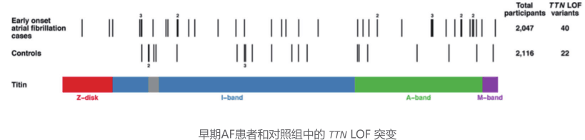 图片关键词 placeholder+image