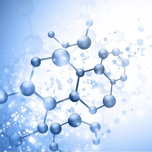 基因和蛋白组学