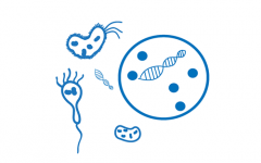 细胞、微生物代谢组学
