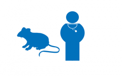 临床、动物代谢组学