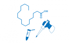短链脂肪酸定量方案