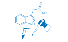 植物激素测定方案
