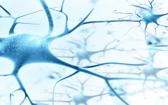 B族维生素及其代谢物定量