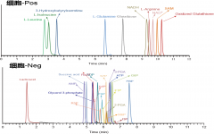 非靶向代谢组学（HILIC版）